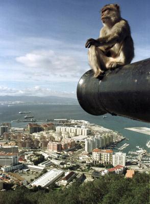 Gibraltar ZB2X CQ WW DX CW Contest 2009 DX News